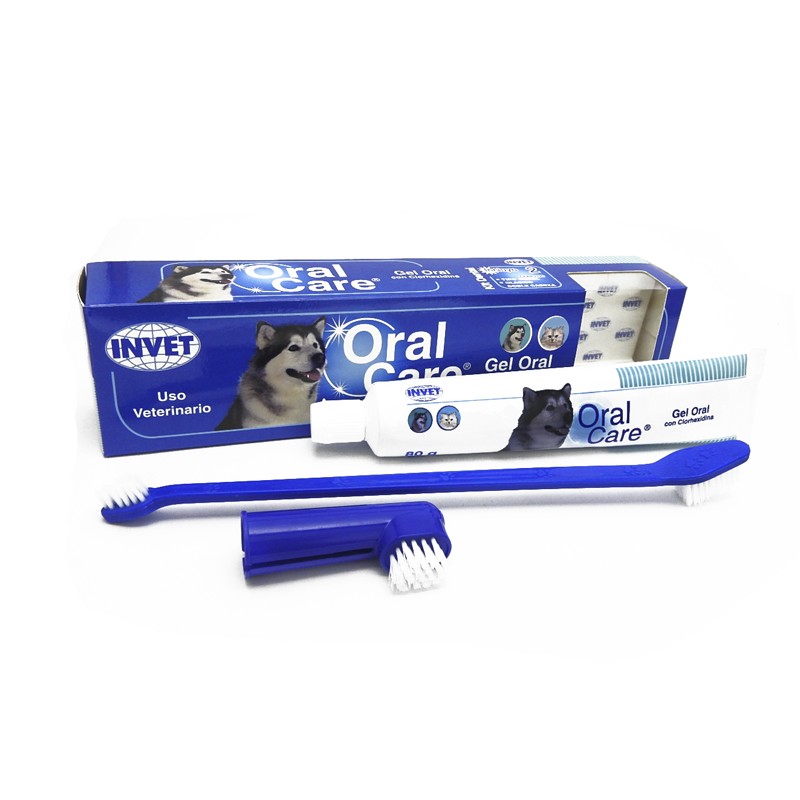 Gel Dental Oral Care X 80 GR