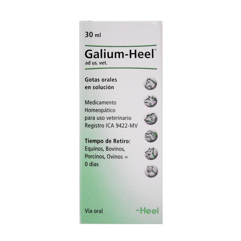Galium-Heel S 30 ml gotas
