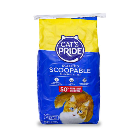 Arena Cat’s Pride Scoopable