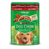 Pouch Dog Chow Carne X 100G