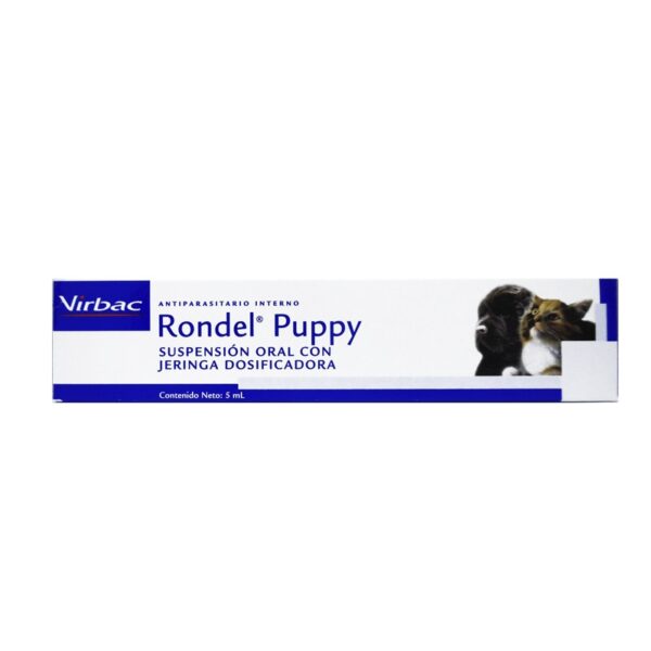 Rondel Puppy