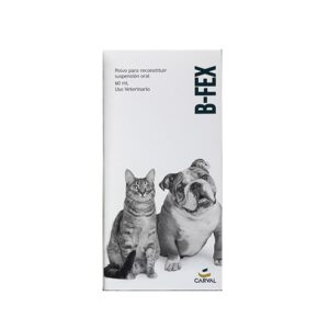 B-Fex X 60 ml