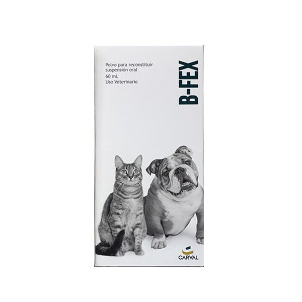 B-Fex X 60 ml
