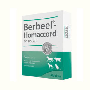 Berbeel-Homaccord (Berberis) x 1 Amp