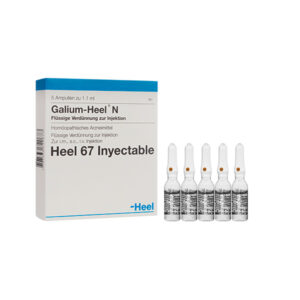 Galium Heel N Ampolla
