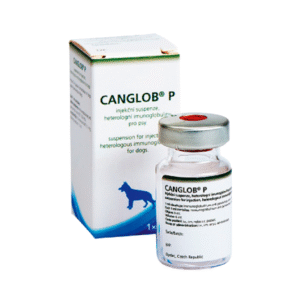 CANGLOB P