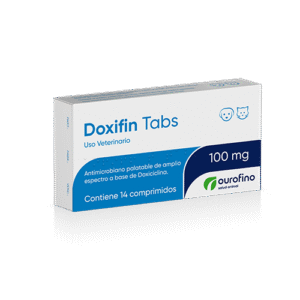 Doxifin Tabs 100 Mg x 14 Comp