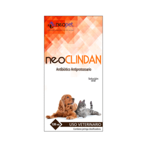 Neoclindan Oral x 60 Ml