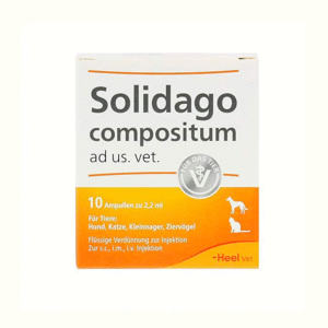 Solidago Compositum x 1 Ampolla