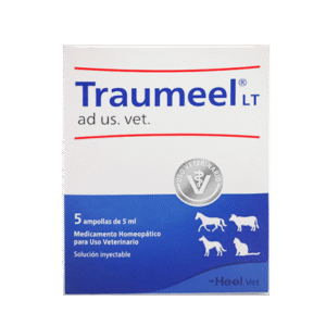 TRAUMEEL x1 Ampolla