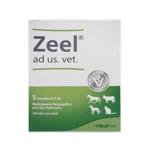 Zeel ad US X 1 Ampolla