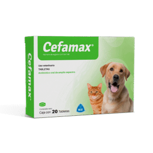 Cefamax X 20 Tab