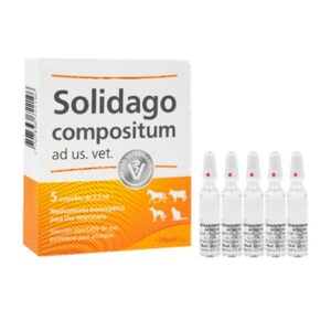 Solidago Compositum x 1 Ampolla
