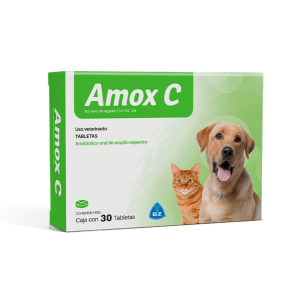 Amox C x 30 Tab