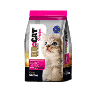 BR For Cat Gatitos (Cachorros)