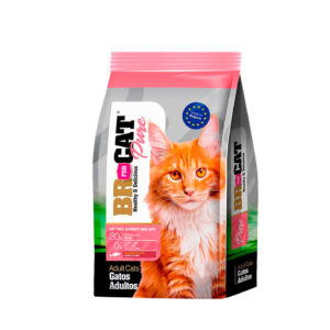 BR FOR CAT ADULTO SALMON