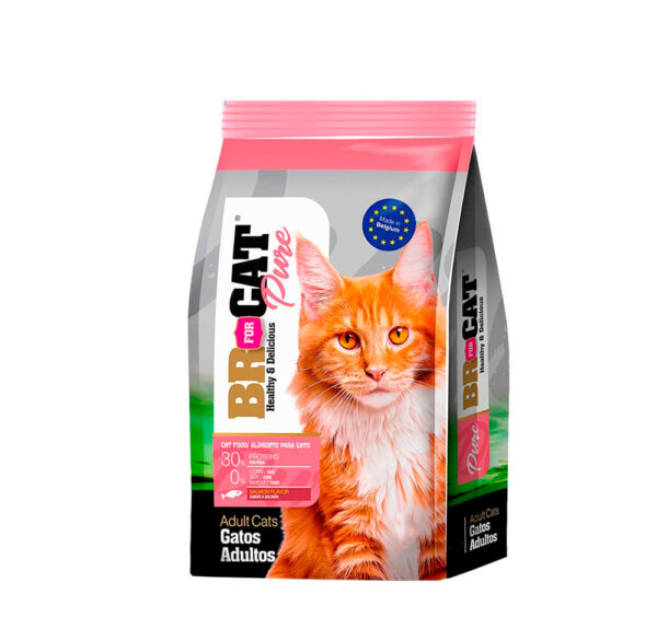 BR FOR CAT ADULTO SALMON X10KG