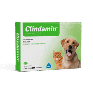 Clindamin x 20 Tab
