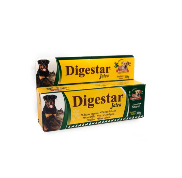 DIGESTAR JALEA X 30 GR