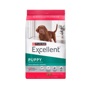 Excellent Dog Puppy Raza Mediana Grande
