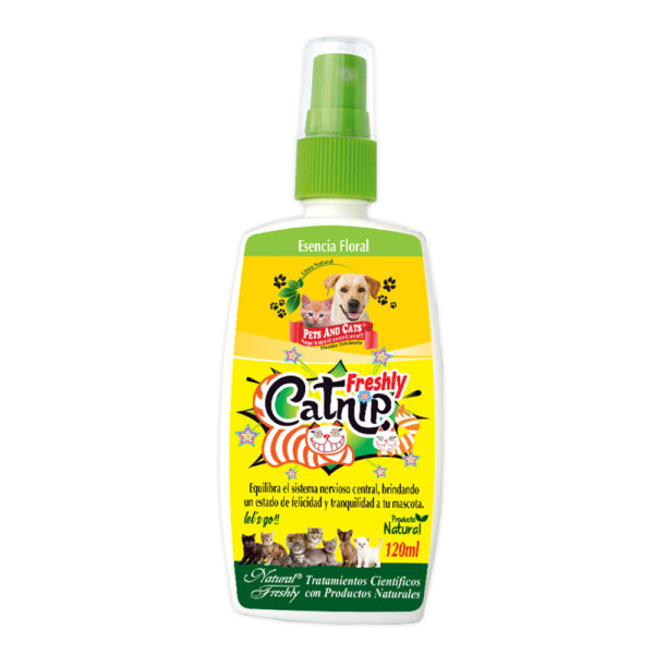 Catnip Freshly