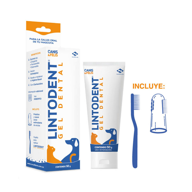 LINTODENT GEL DENTAL X 50 GR