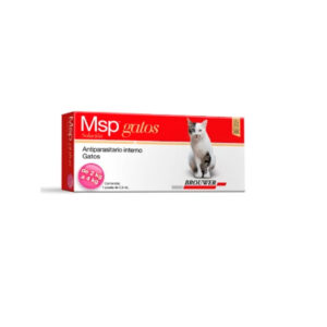 MSP GATOS 2-4 KG