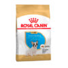ROYAL CANIN BULLDOG FRENC PUPPY
