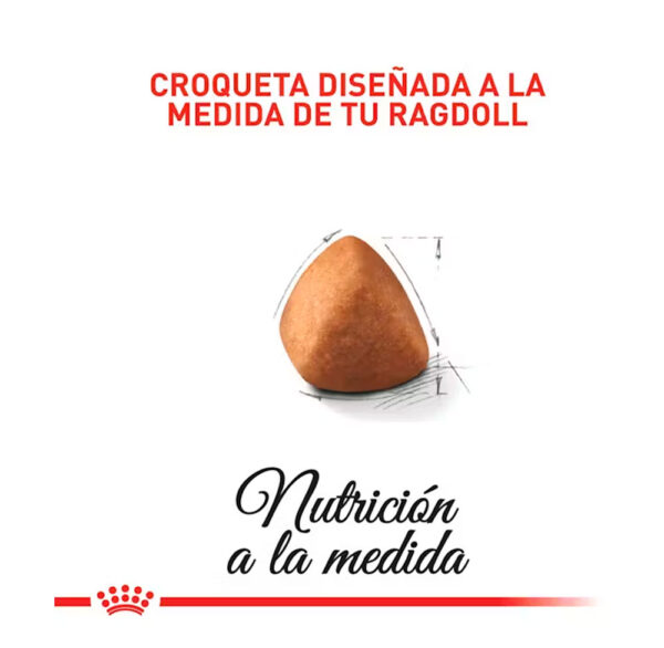 ROYAL CANIN GATO RAGDOLL X 2 KG - Image 2