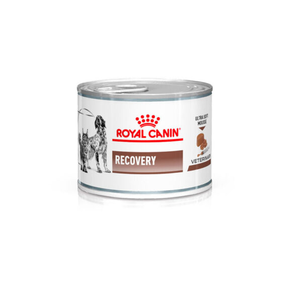 ROYAL CANIN LATA RECOVERY  0.14 KG