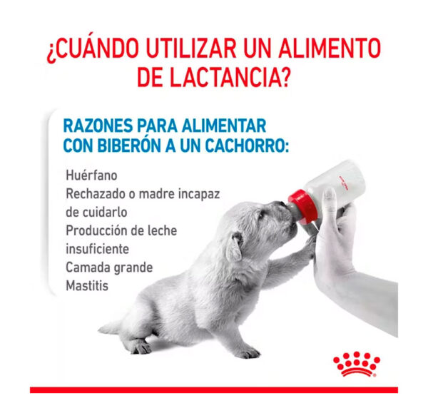 ROYAL CANIN MILK BABY DOG 400G - Image 2