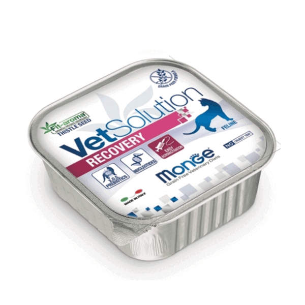 Monge Vet Solution Feline Recovery 100 Gr