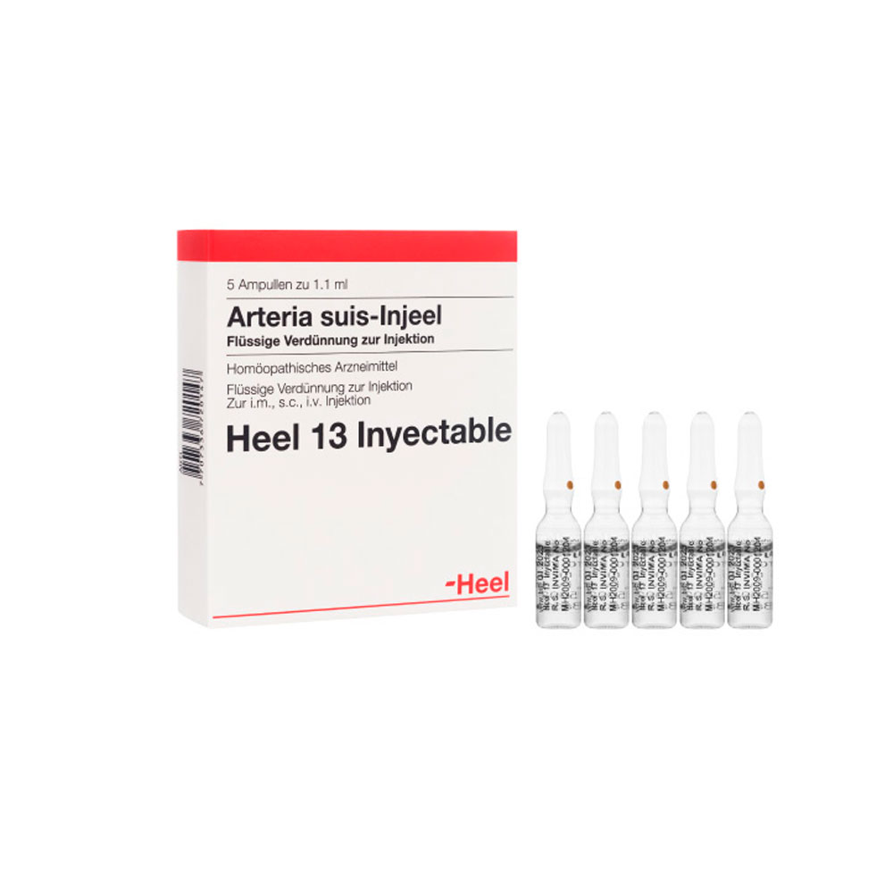ARTERIA SUIS INJEEL AMPOLLA X 1.1 ML