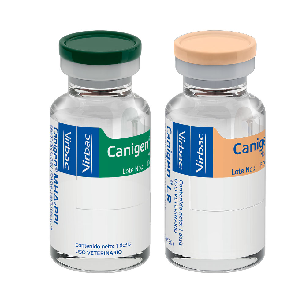 CANIGEN MHA2PPI/LR - SEXTUPLE